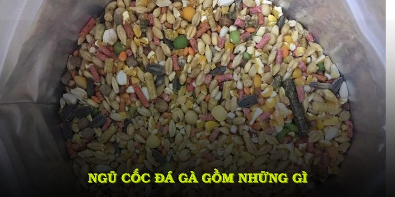 Ngũ cốc đá gà gồm những gì